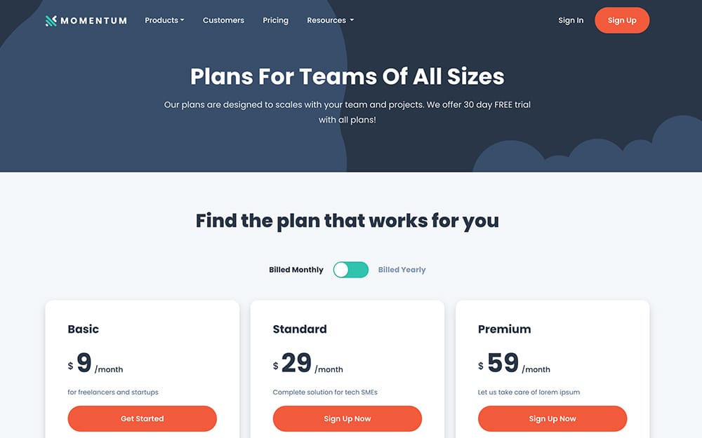 momentum-pricing-page